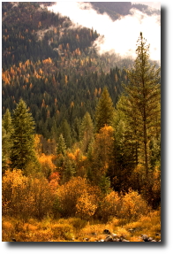 idaho scenery